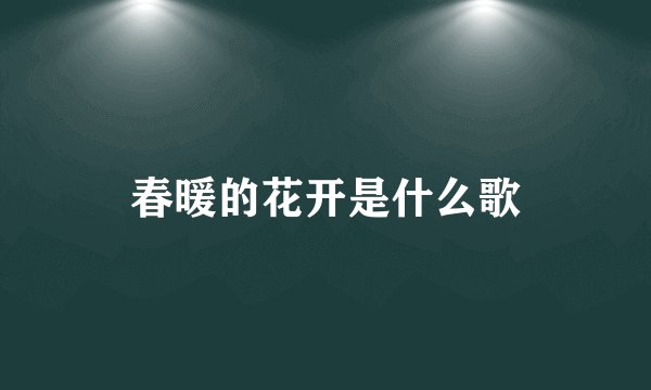 春暖的花开是什么歌