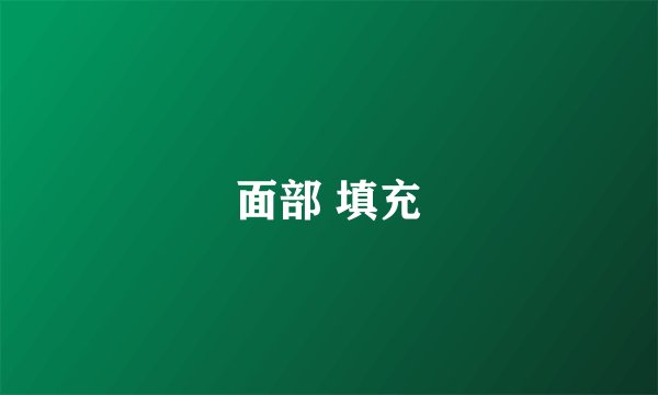 面部 填充
