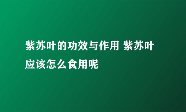 紫苏叶的功效与作用 紫苏叶应该怎么食用呢