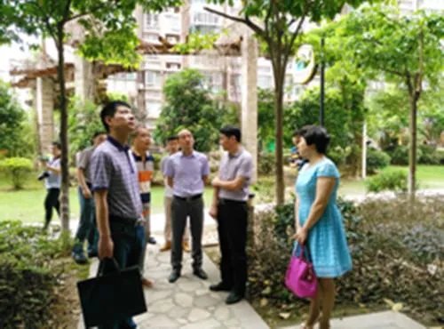 杨胜的人物履历