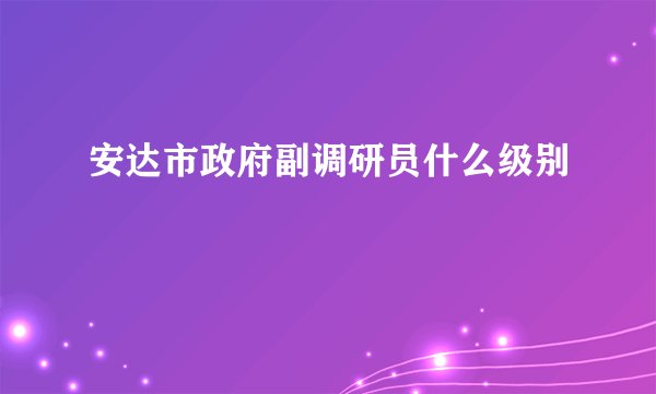 安达市政府副调研员什么级别