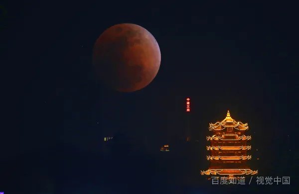 HALO是什么意思