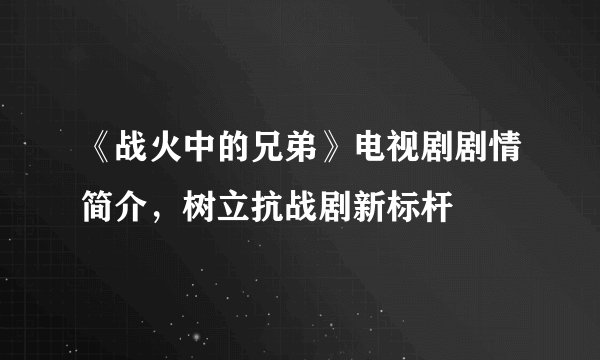 《战火中的兄弟》电视剧剧情简介，树立抗战剧新标杆