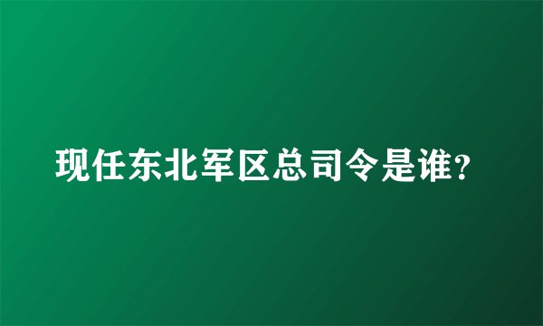 现任东北军区总司令是谁？