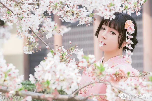 漫谈M43 篇一:M43画幅相机?这个相机体系有什么优劣?有图有真相!