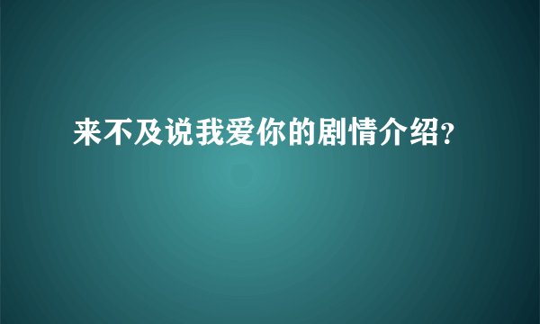 来不及说我爱你的剧情介绍？