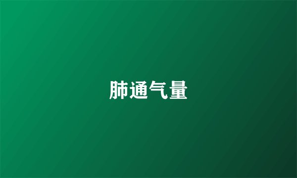肺通气量
