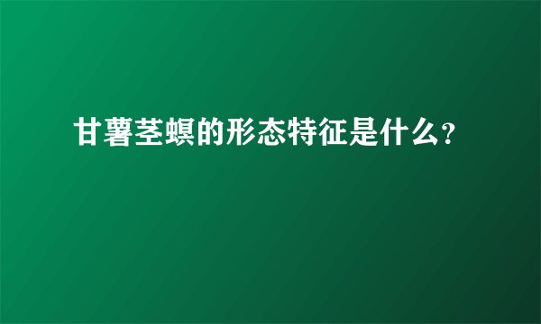 甘薯茎螟的形态特征是什么？