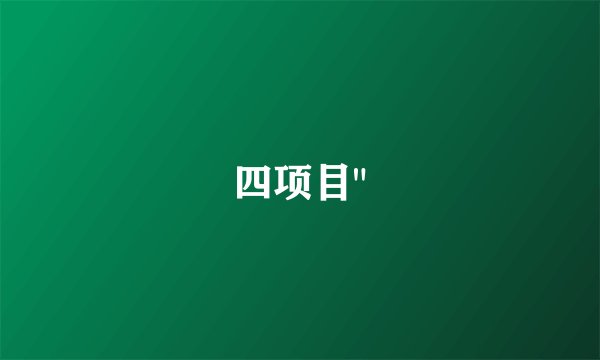四项目