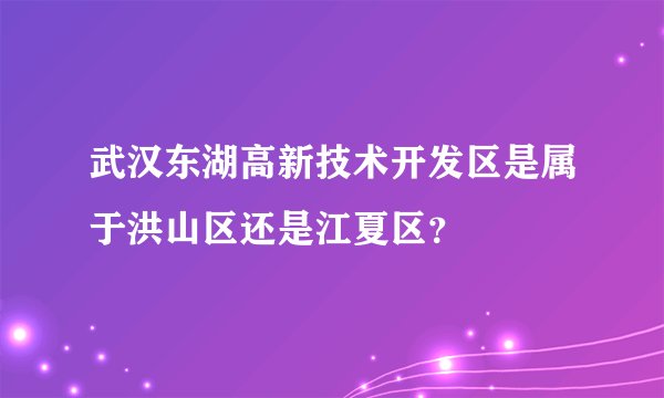 武汉东湖高新技术开发区是属于洪山区还是江夏区?