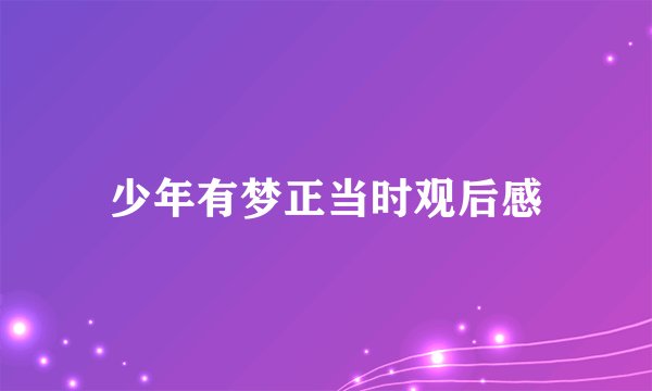 少年有梦正当时观后感