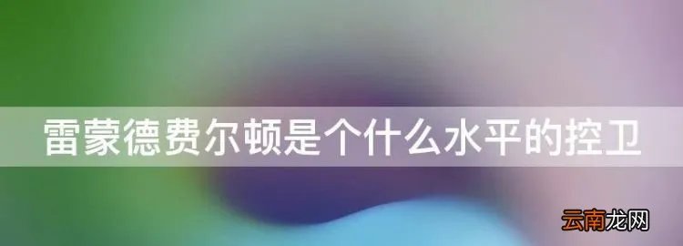雷蒙德费尔顿是个什么水平的控卫