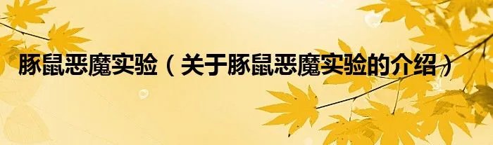 豚鼠恶魔实验（关于豚鼠恶魔实验的介绍）