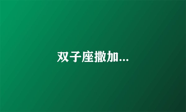 双子座撒加...