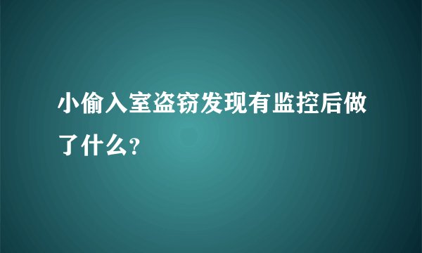 小偷入室盗窃发现有监控后做了什么?