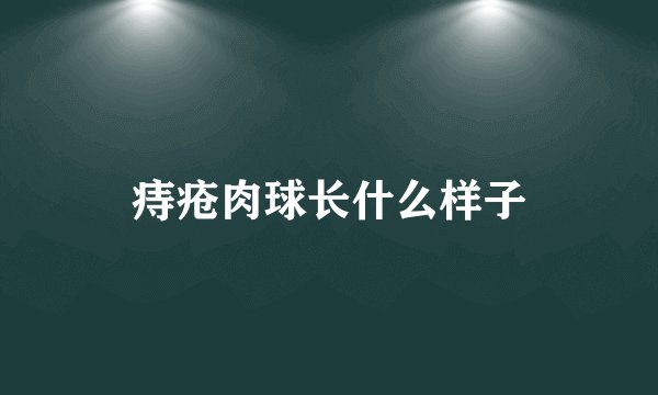 痔疮肉球长什么样子