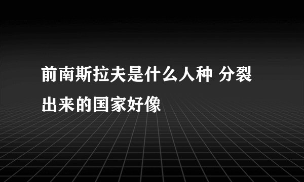 前南斯拉夫是什么人种 分裂出来的国家好像