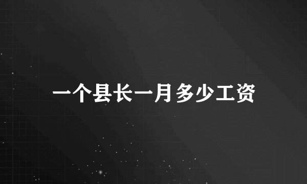 一个县长一月多少工资