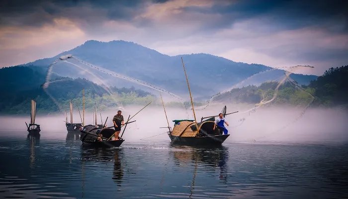 浪淘沙北戴河的思想感情