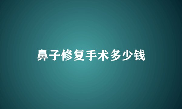 鼻子修复手术多少钱