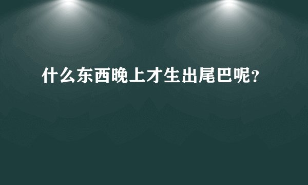 什么东西晚上才生出尾巴呢？