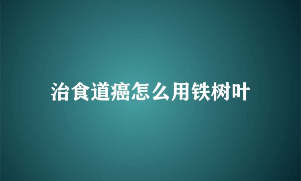 治食道癌怎么用铁树叶