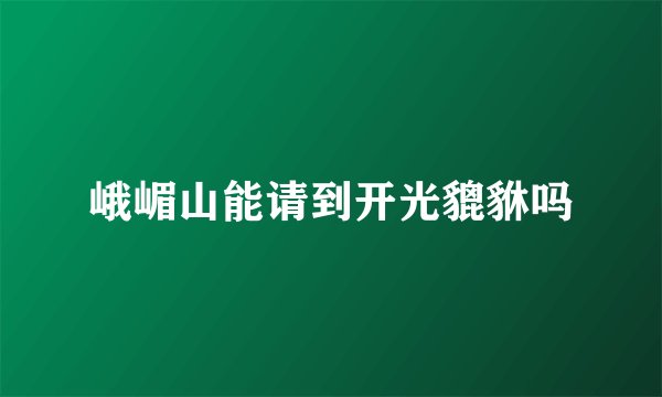 峨嵋山能请到开光貔貅吗