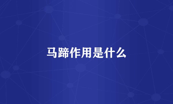 马蹄作用是什么