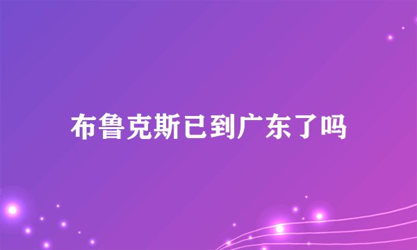 布鲁克斯已到广东了吗