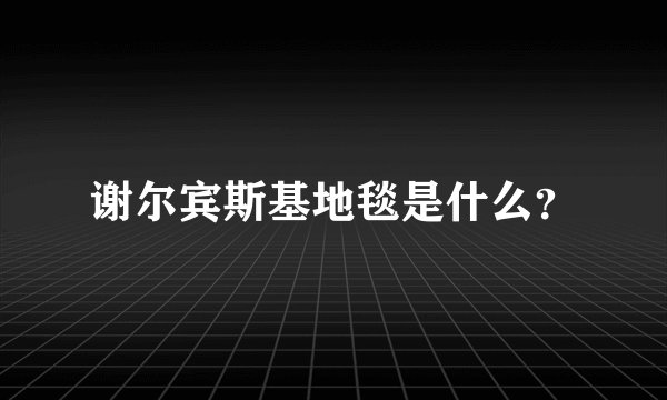 谢尔宾斯基地毯是什么？