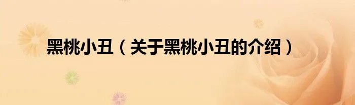 黑桃小丑（关于黑桃小丑的介绍）