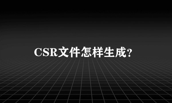 CSR文件怎样生成?