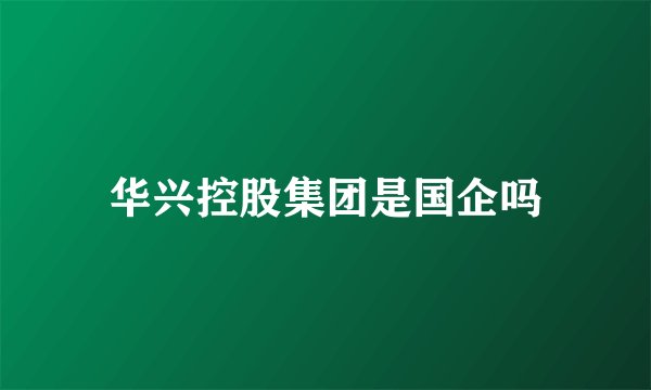 华兴控股集团是国企吗