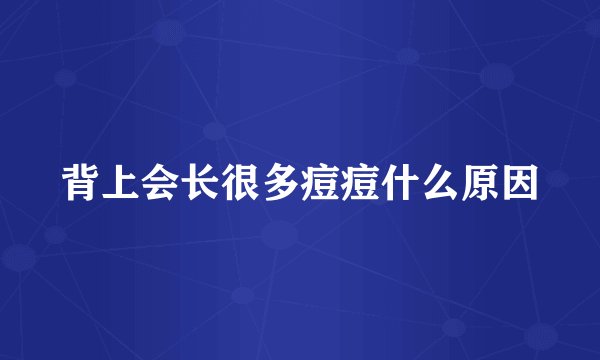 背上会长很多痘痘什么原因