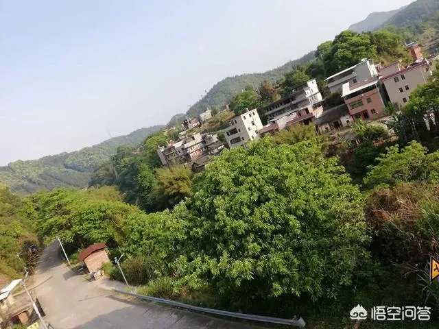 为什么说河源市和平县是个好地方?