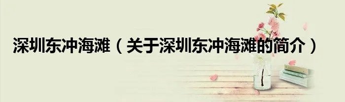 深圳东冲海滩（关于深圳东冲海滩的简介）