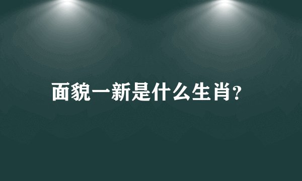面貌一新是什么生肖？