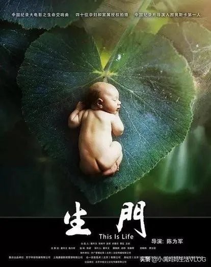 有哪些比较好看的纪录片？