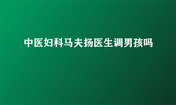 中医妇科马夫扬医生调男孩吗