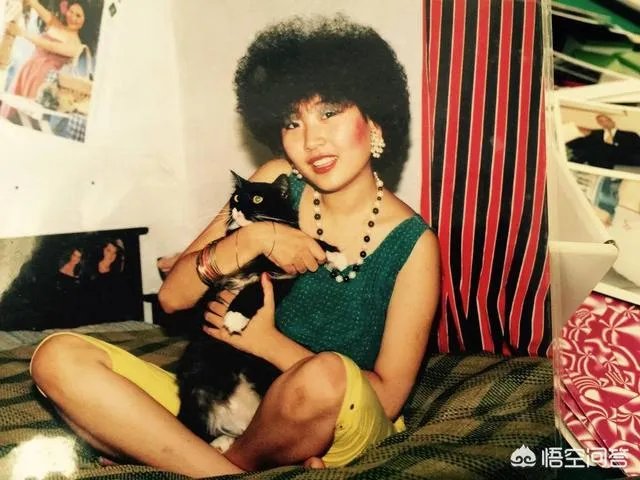 如何评价歌手张蔷?