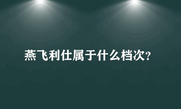 燕飞利仕属于什么档次？