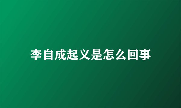 李自成起义是怎么回事