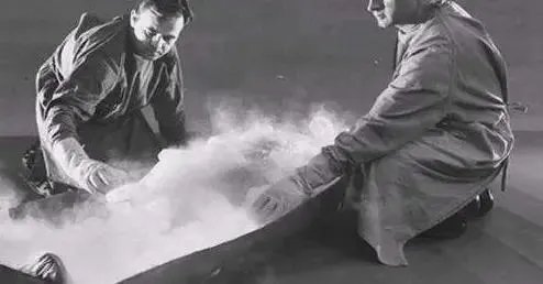 展文莲简介