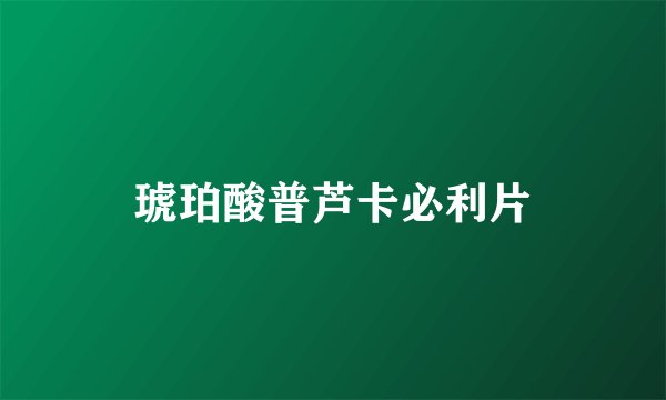 琥珀酸普芦卡必利片