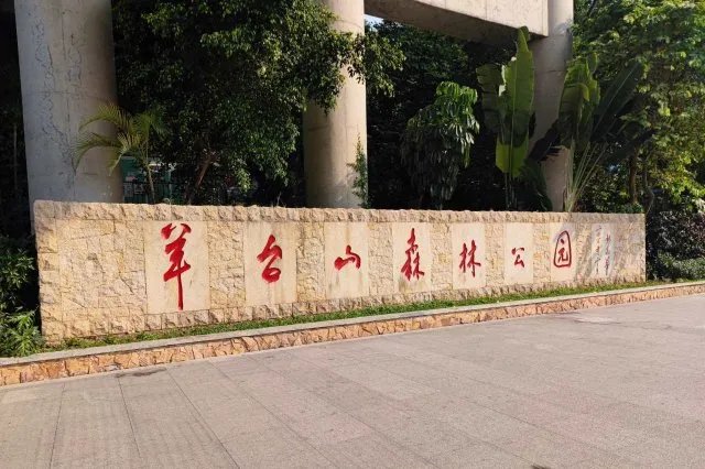 深圳十大名山