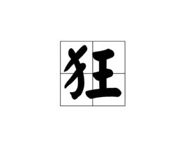 狂可以组什么两个字的词语