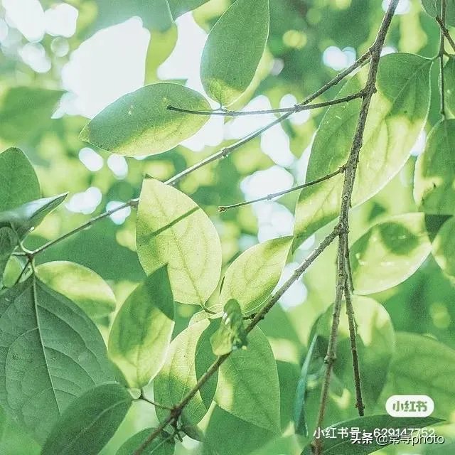 学摄影一定要参加学习班吗？选择什么形式的学习班比较合适？