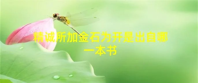 精诚所加金石为开是出自哪一本书