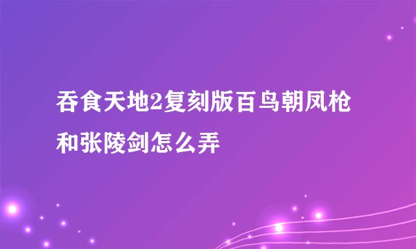 吞食天地2复刻版百鸟朝凤枪和张陵剑怎么弄