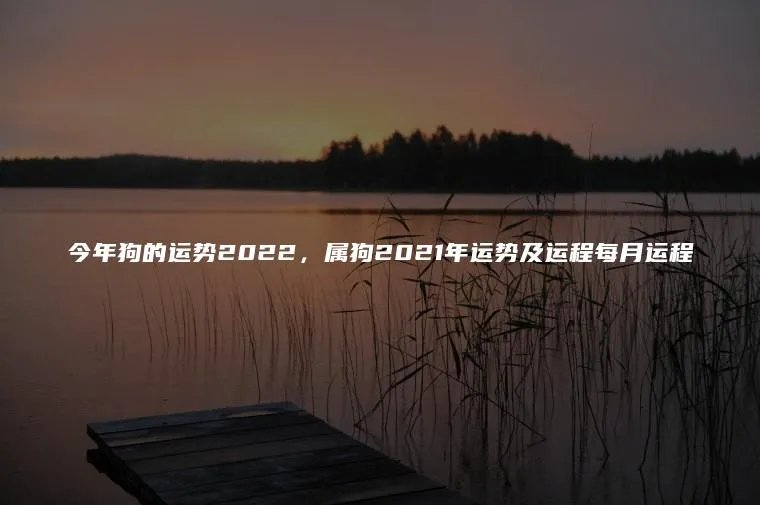 今年狗的运势2022，属狗2021年运势及运程每月运程
